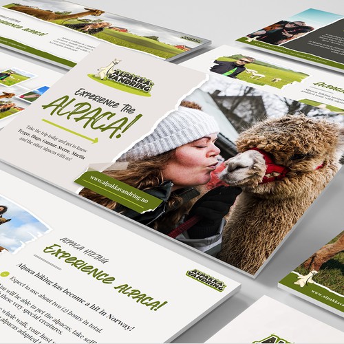 Business presentation of alpaca experiences