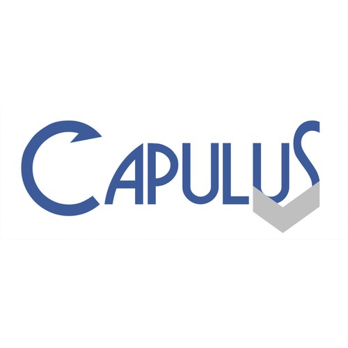 Capulus Logo: Simple, elegant, unique