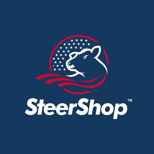 Powerfull SteerShop Logo