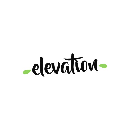 Logo Concept for elevation.