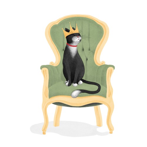 The Adventures of MR BOO