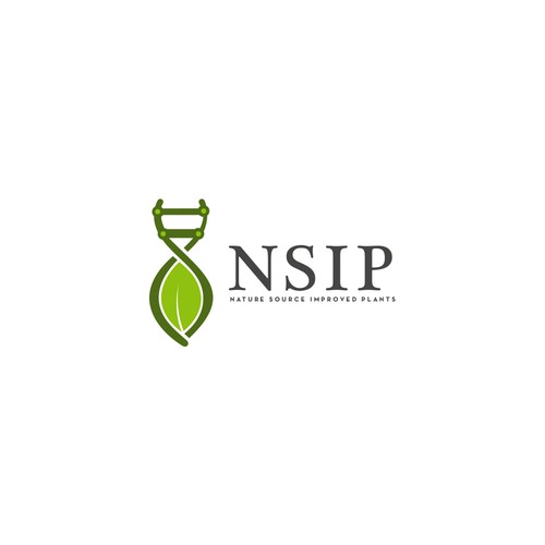 NSIP (propuesta)
