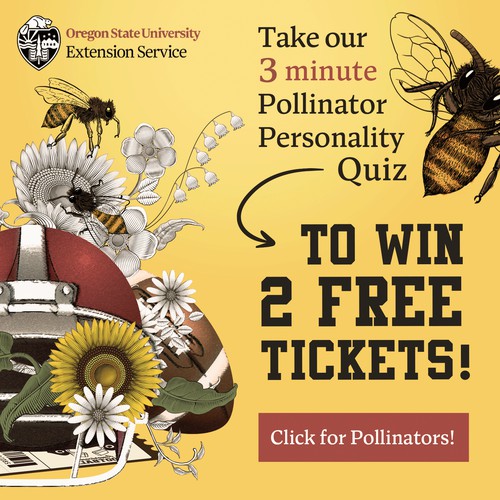 Pollinator Campaign Display ads