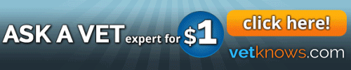 Animated Banner Ads for VetKnows.com (Affordable Advice from Veterinary Experts and Veterinarians)