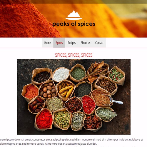 Logo and website concept for a spice e-commerce