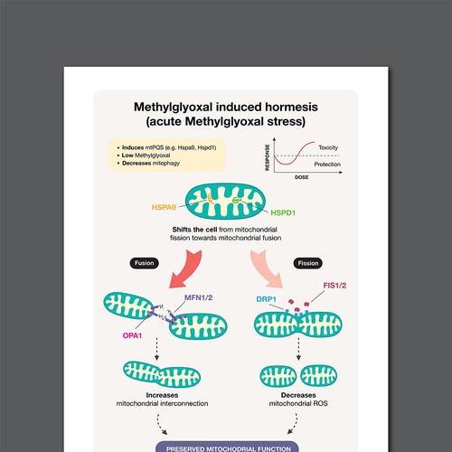 Biological Infographic