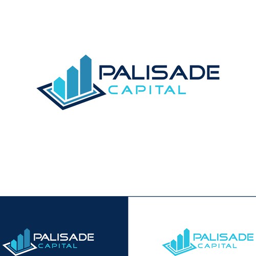 Logo Concept for Palisade Capital