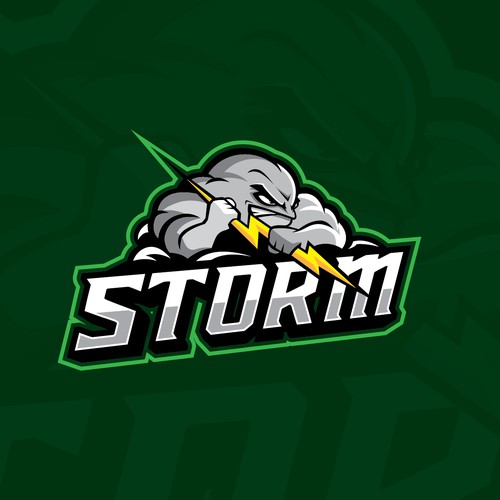  Athletic Team mascot for "The Storm"