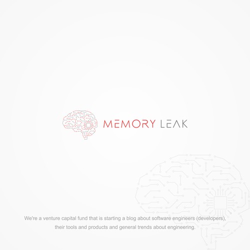 Memory Leak