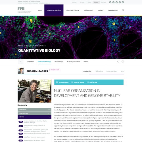 Science Institute Web Design