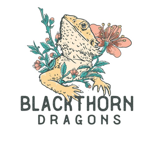 blackthorn dragons