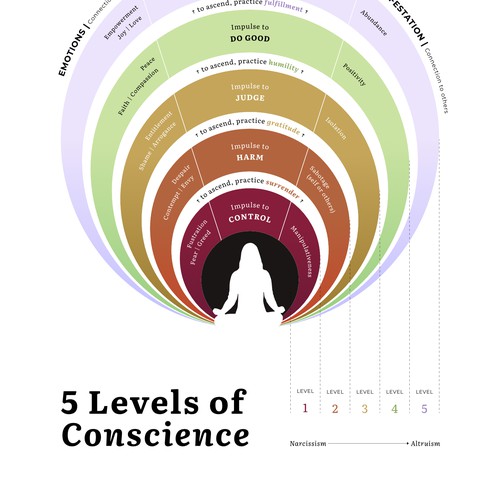 The 5 Levels of Conscience Infographic