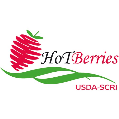 logo HotBerries
