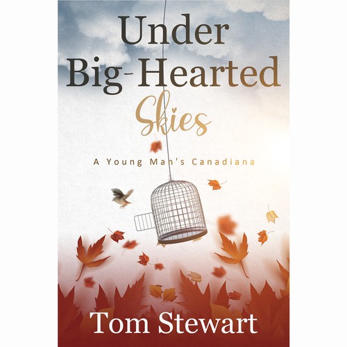 Amazing front book cover 