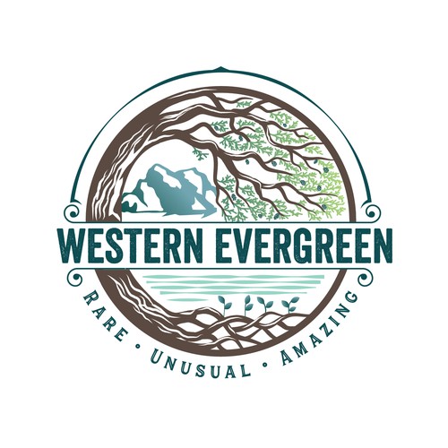 Western Evergreen Logo