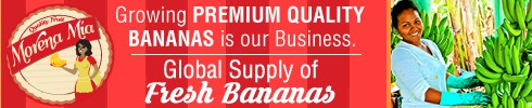 why you eat bananas? besides tastes good! create a wholesome design .