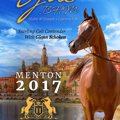 ARABIAN HORSE show design