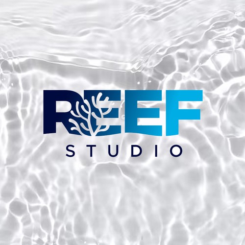 REEF Studio