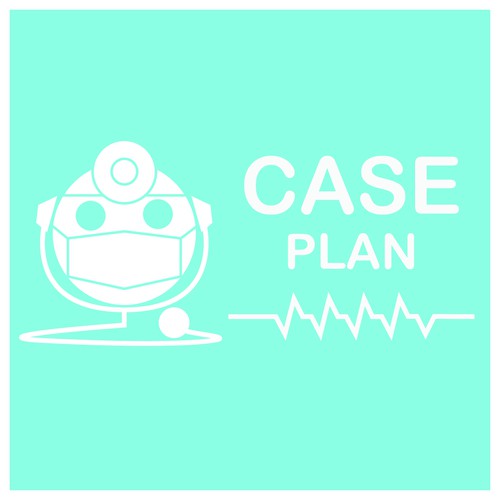 Case plan Entry