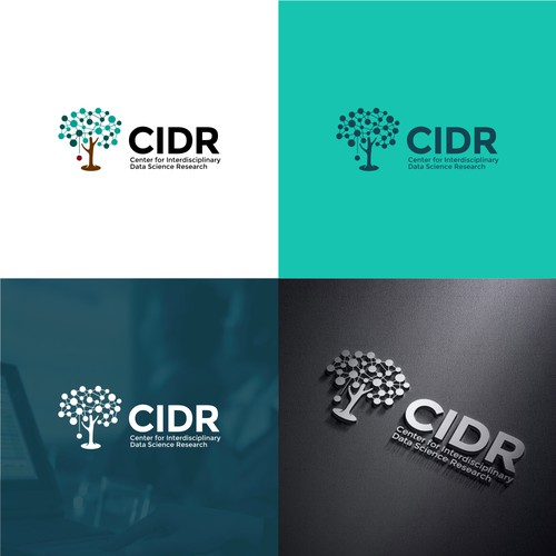 Logo Concept for CIDR