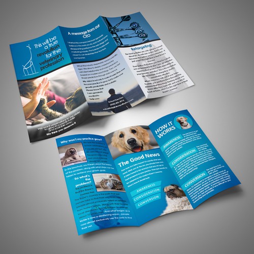 A4 trifold brochure concept