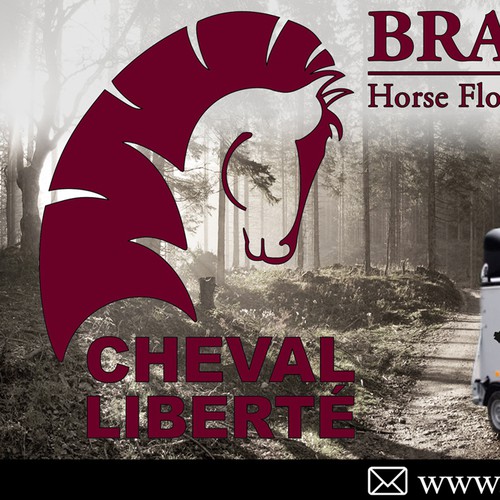 3x1m Banner for Luxury Horse Trailer business - Equestrian Lifestyle