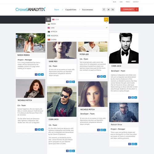 CrowdANALYTIX's website