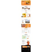 Reviewed design