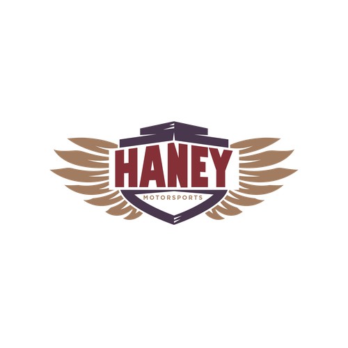  Haney motor sports logo design