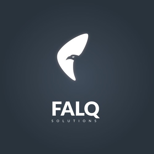 Flaq solution logo design