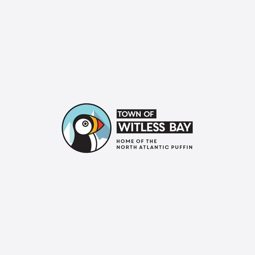 town of witless bay