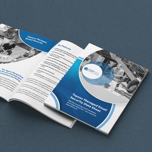 Brochure Design for Topsec