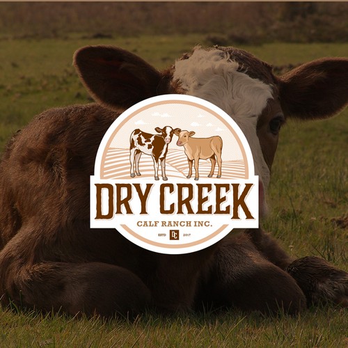 Vintage Logo and Identity design for Calf Ranch Incorporate