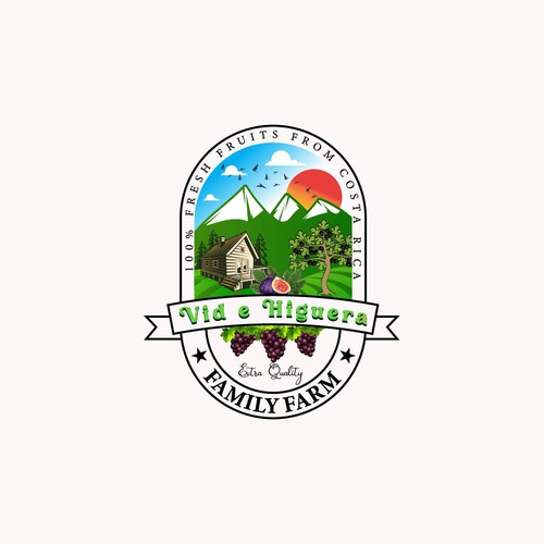 Logo Design