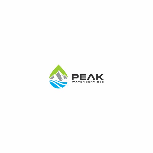 PEAK LOGO DESIGN