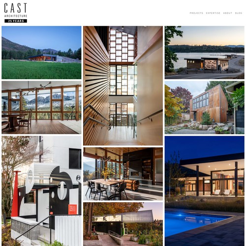 CAST Architecture
