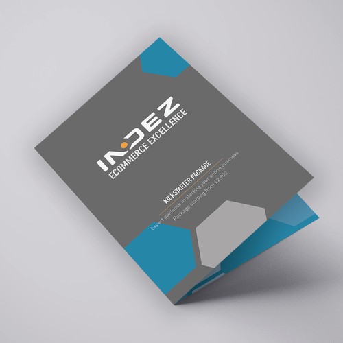 Updated INDEZ Promotional Leaflet