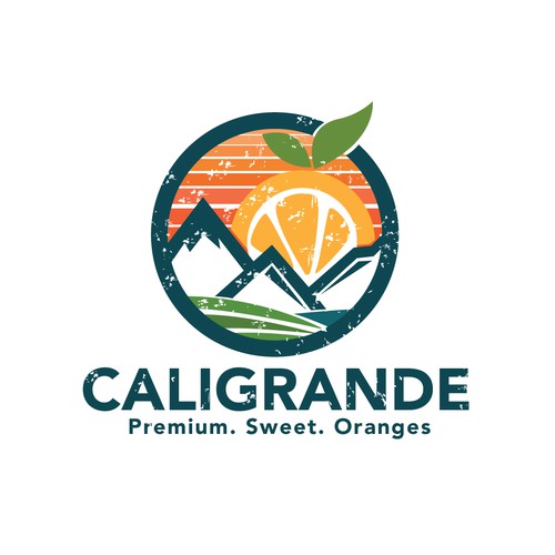 Fun Logo for Orange farm