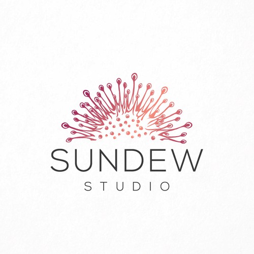 Modern Sundew Plant Logo