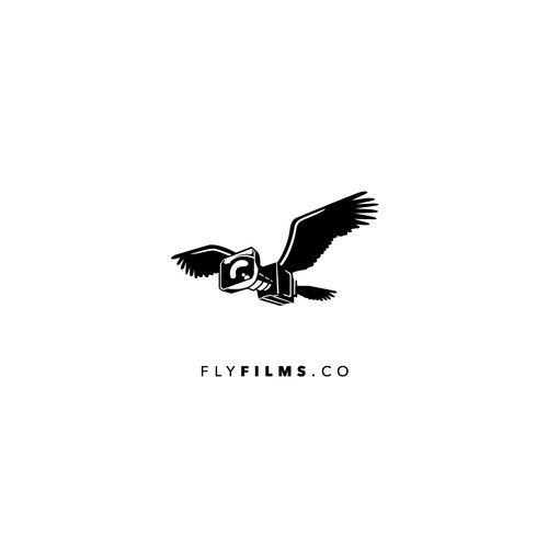 Drone Company specializing in photos and cinema photography needs a killer logo.