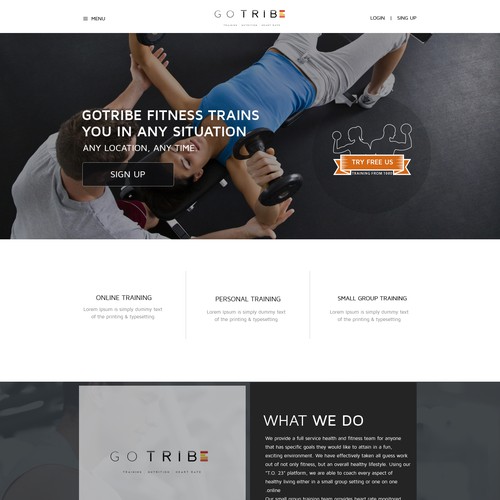 Design a clean & modern Wordpress Theme