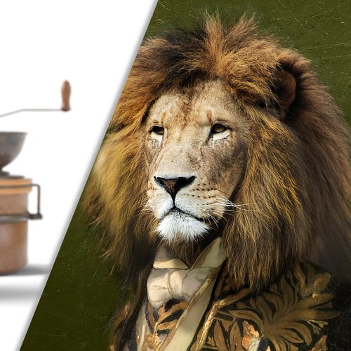 Animales Aristocraticos