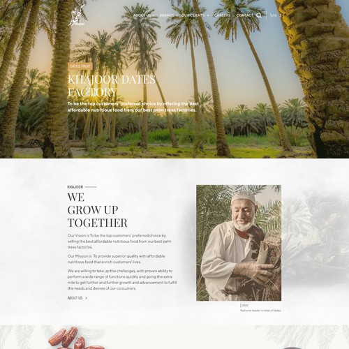 Design Attractive & Creative website for Dates fruit & shows beauty of Palm tree & Al Hasa Oasis in Saudi