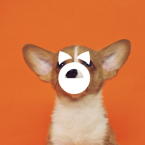 Petshop.org Logo Concept 