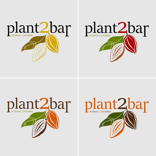 plant2bar (5) SUMAPAZ|COLOMBIA *colores*
