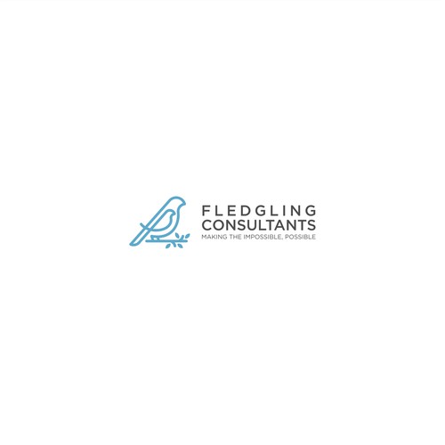 Logo concept for Fledgling Consultans