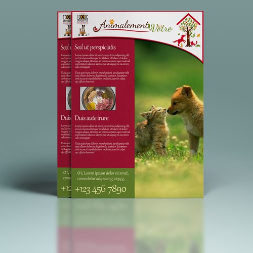 Create a flyer to promote the marketing of Dr. Jutta Ziegler's pet food in Switzerland