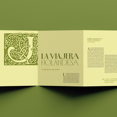 Typographic Accordion Fold — Editorial Design