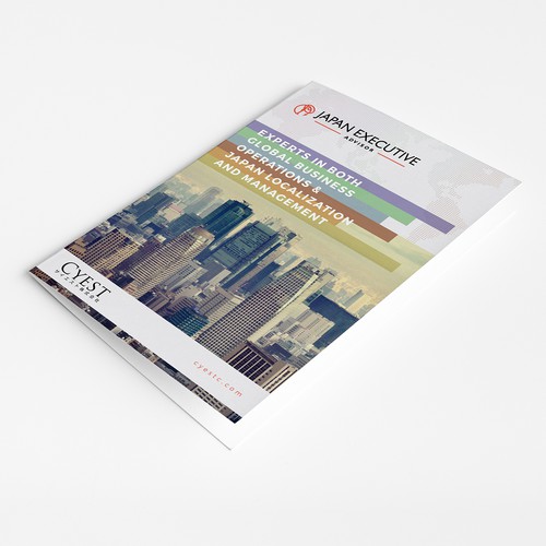 Japan Executive Advisor Brochure