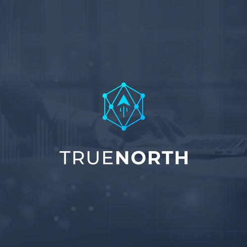 Design a logo for "True North"